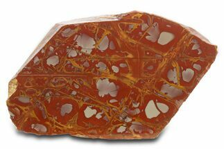 Polished Noreena Jasper Section - Australia #317894
