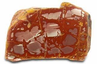 Polished Noreena Jasper Section - Australia #317896