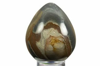 Polished Polychrome Jasper Egg - Madagascar #331726