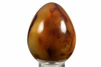 Vibrant Polished Carnelian Agate Egg - Madagascar #331750