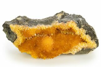 Intense Orange Calcite Crystal Cluster - Poland #331953