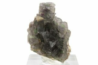 Purple and Green Fluorite Crystal Cluster - Namibia #332630