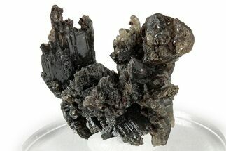 Cerussite Crystal Cluster - Congo #332861