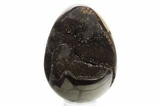 Septarian Dragon Egg Geode - Sparkly Black Crystals #329490