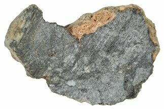 Polished Lunar Meteorite ( g) End Cut Slice - NWA #333139