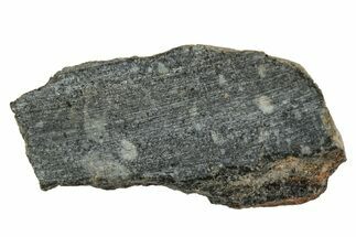 Polished Lunar Meteorite ( g) End Cut Slice - NWA #333159