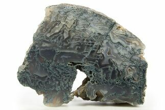 Polished Moss Agate Section - Oregon #333032