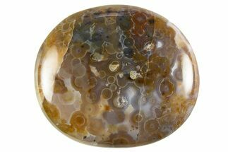 Polished Ocean Jasper Stone - Madagascar #329996