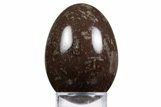 Polished Chinese Writing Rock Egg - Mexico #334159