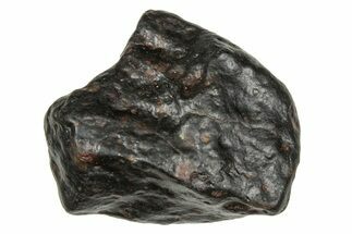 Carbonaceous Chondrite Meteorite ( g) - NWA #334360