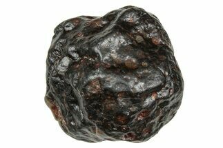 Carbonaceous Chondrite Meteorite ( g) - NWA #334361