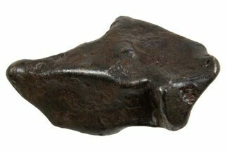 Fusion Crusted Sikhote-Alin Iron Meteorite ( g) - Russia #334585