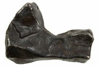 Fusion Crusted Sikhote-Alin Iron Meteorite ( g) - Russia #334590