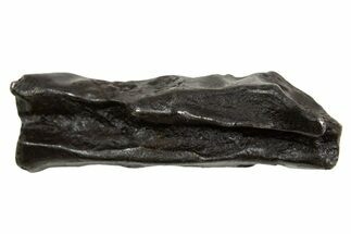 Fusion Crusted Sikhote-Alin Iron Meteorite ( g) - Russia #334591