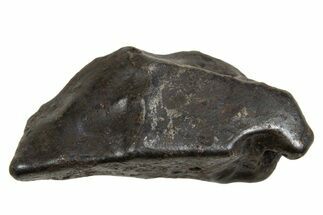 Fusion Crusted Sikhote-Alin Iron Meteorite ( g) - Russia #334601