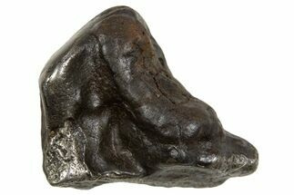 Fusion Crusted Sikhote-Alin Iron Meteorite ( g) - Russia #334620