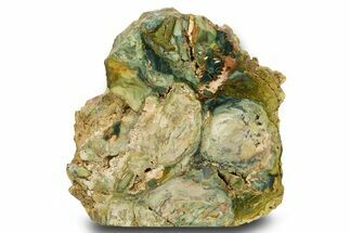 Free-Standing, Gary Green Jasper (Larsonite) Bog Wood - Oregon #334726