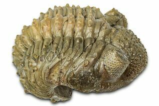 Recently Added For Sale