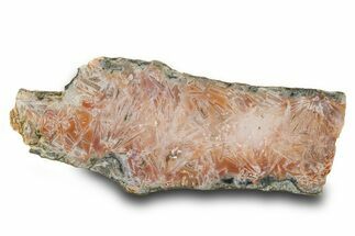 Polished Moroccan Stick Agate Slab - Morocco #334900