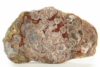 Polished Mushroom Jasper Slab - Arizona #334863