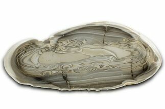 Polished Striped Flint Slab - Poland #334940