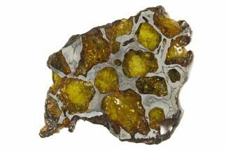 Polished Imilac Pallasite Meteorite ( g) Slice #334651