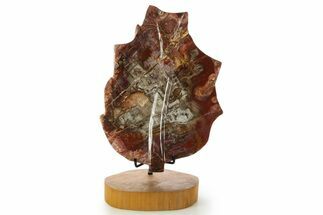 Polished Petrified Wood (Araucaria) Leaf with Stand - Madagascar #335214