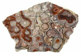 Polished Crazy Lace Agate Slab - Mexico #335037