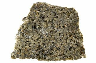 Martian Shergottite Meteorite ( g) Slice - NWA #335325