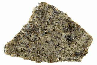 Martian Shergottite Meteorite ( g) Slice - NWA #335327