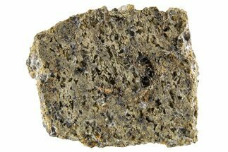 Martian Shergottite Meteorite ( g) Slice - NWA #335329