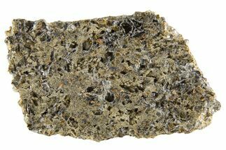 Martian Shergottite Meteorite ( g) Slice - NWA #335331
