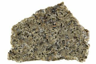 Martian Shergottite Meteorite ( g) Slice - NWA #335335