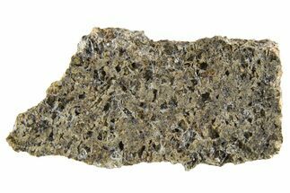 Martian Shergottite Meteorite ( g) Slice - NWA #335337