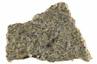 Martian Shergottite Meteorite ( g) Slice - NWA #335339