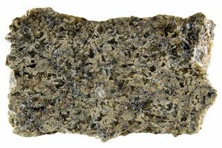 Martian Shergottite Meteorite ( g) Slice - NWA #335341