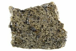 Martian Shergottite Meteorite ( g) Slice - NWA #335344