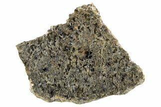 Martian Shergottite Meteorite ( g) Slice - NWA #335346