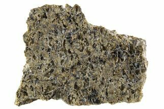 Martian Shergottite Meteorite ( g) Slice - NWA #335350