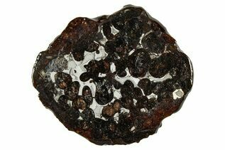 Sericho Pallasites For Sale