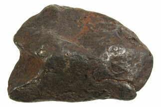 Canyon Diablo Iron Meteorite ( g) - Arizona #335939