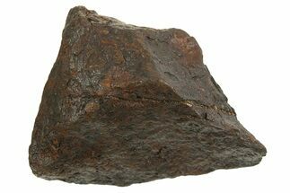 Canyon Diablo Iron Meteorite ( g) - Arizona #335941