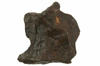 Canyon Diablo Iron Meteorite ( g) - Arizona #335959