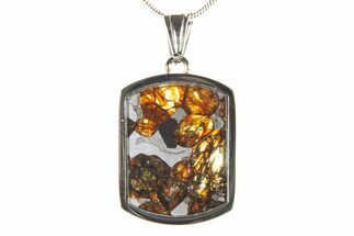 Sericho Pallasite Dog Tag Meteorite Pendant - Kenya #336101