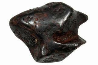 Canyon Diablo Iron Meteorite ( g) - Arizona #336001