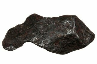 Canyon Diablo Iron Meteorite ( g) - Arizona #336025