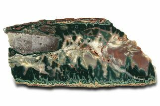 Colorful Polished Idaho Sunset Jasper Slab #336241