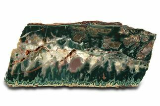 Colorful Polished Idaho Sunset Jasper Section #336242