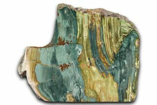 Free-Standing, Gary Green Jasper (Larsonite) Bog Wood - Oregon #334818