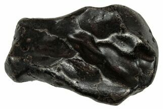 Fusion Crusted Sikhote-Alin Iron Meteorite ( g) - Russia #334536